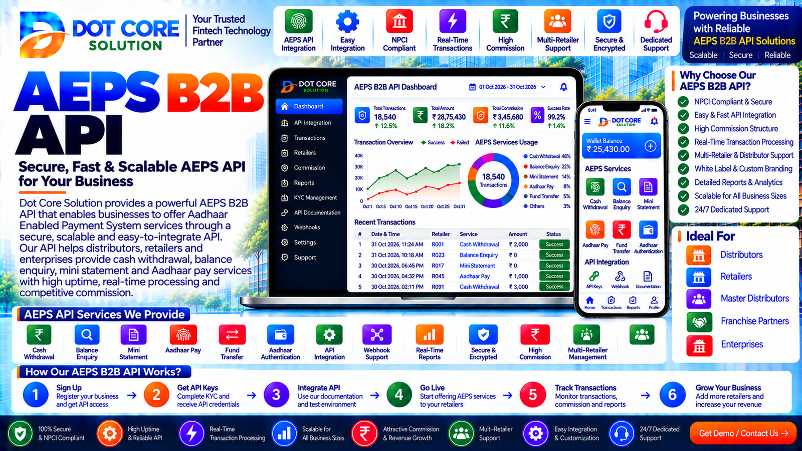 aeps b2b api